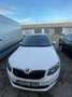 Skoda Octavia 1.6TDI CR Elegance DSG 105 - thumbnail 4