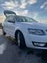 Skoda Octavia 1.6TDI CR Elegance DSG 105 - thumbnail 7