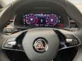 Skoda Scala 1.5TSI DSG Monte Carlo LED Navi APP Pano Weiß - thumbnail 9