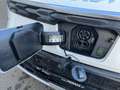 Kia Niro EV Inspiration Glasdach  Wärmepumpe, Weiß - thumbnail 30