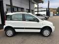 Fiat Panda 1.2 4x4 Climbing Blanc - thumbnail 3
