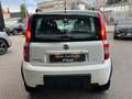 Fiat Panda 1.2 4x4 Climbing Blanc - thumbnail 4
