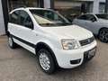 Fiat Panda 1.2 4x4 Climbing Blanc - thumbnail 1