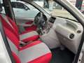 Fiat Panda 1.2 4x4 Climbing Blanc - thumbnail 11