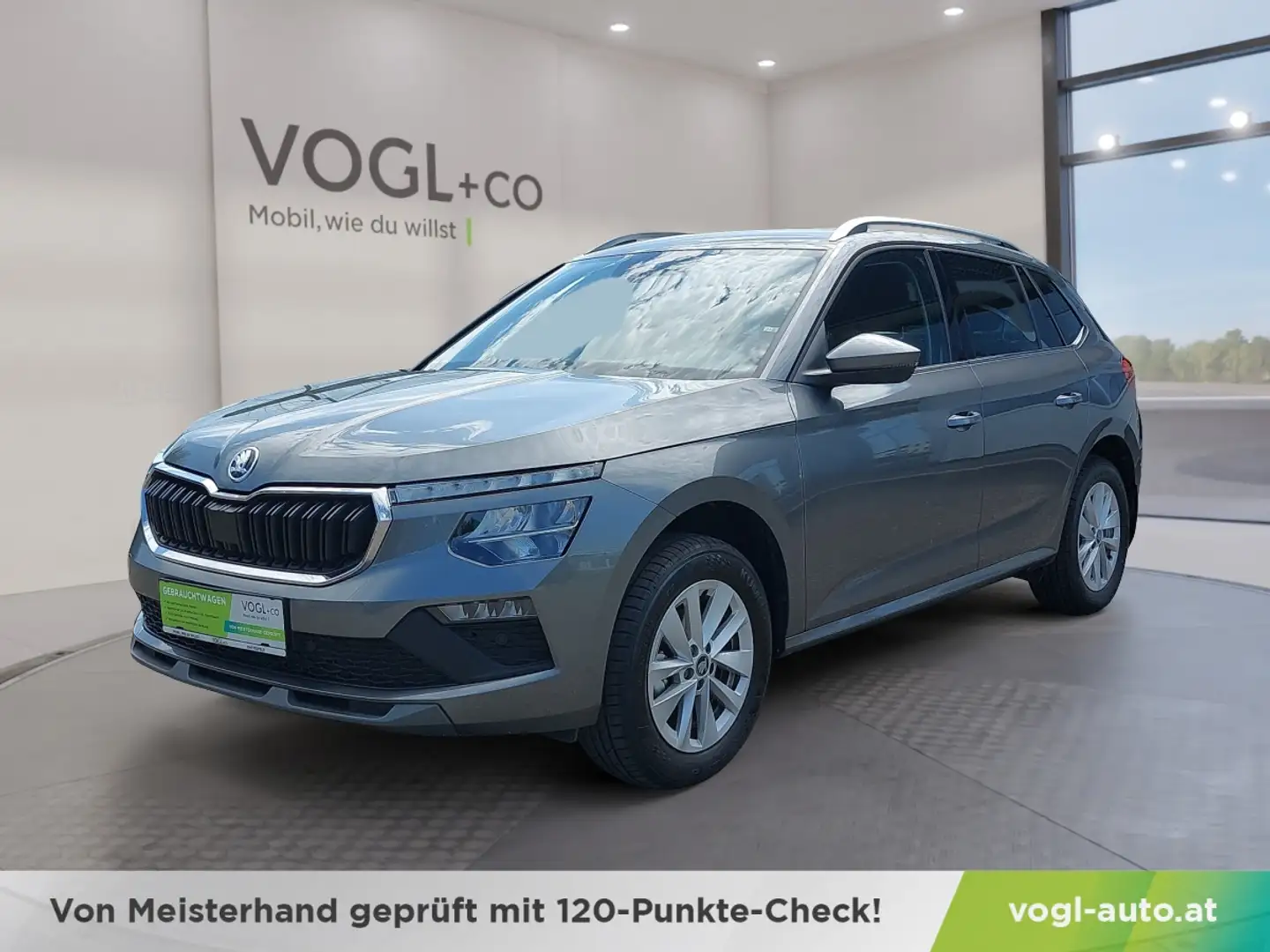 Skoda Kamiq 1.0 TSI Selection DSG Grau - 1