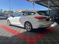 Ford Focus Focus 1.5 EcoBlue 95 CV SW Business Weiß - thumbnail 6
