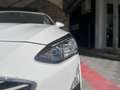 Ford Focus Focus 1.5 EcoBlue 95 CV SW Business Weiß - thumbnail 22
