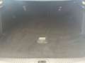 Ford Focus Focus 1.5 EcoBlue 95 CV SW Business Weiß - thumbnail 13
