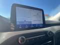 Ford Focus Focus 1.5 EcoBlue 95 CV SW Business Weiß - thumbnail 17