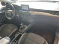 Ford Focus Focus 1.5 EcoBlue 95 CV SW Business Weiß - thumbnail 10