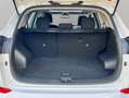 Hyundai TUCSON 2.0CRDI Tecno Sky 4x4 Wit - thumbnail 28
