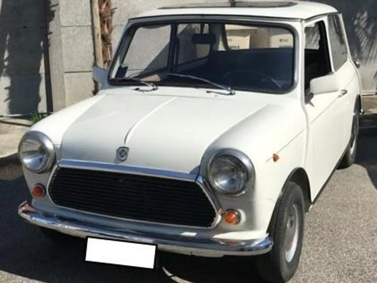 Rover Mini