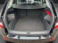 Skoda Fabia Combi Ambition TSI SH Kamera DAB Klima Schwarz - thumbnail 13