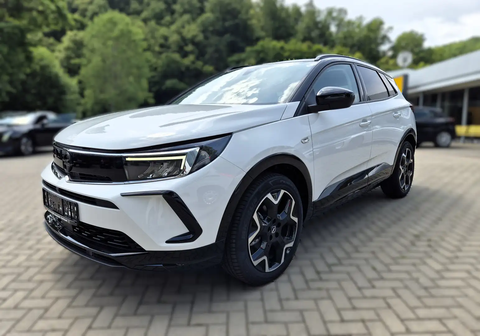 Opel Grandland Grandland Ultimate AT LED-Matrix Alcantara Navi Weiß - 2