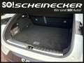 Polestar 4 Long Range 100kWh Dual Motor Performance Weiß - thumbnail 7