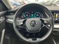 Skoda Octavia Style TDI Schwarz - thumbnail 9