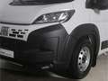 Fiat Ducato 140 PS L3H1 Pritsche Weiß - thumbnail 4