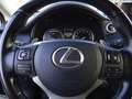 Lexus NX 300 NX Hybrid 4WD Executive Grau - thumbnail 15