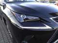Lexus NX 300 NX Hybrid 4WD Executive Gris - thumbnail 9