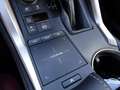 Lexus NX 300 NX Hybrid 4WD Executive Grau - thumbnail 23