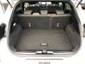 Ford Puma Puma 1.0 EcoBoost ST-Line S/S (EURO 6d-TEMP) - thumbnail 16