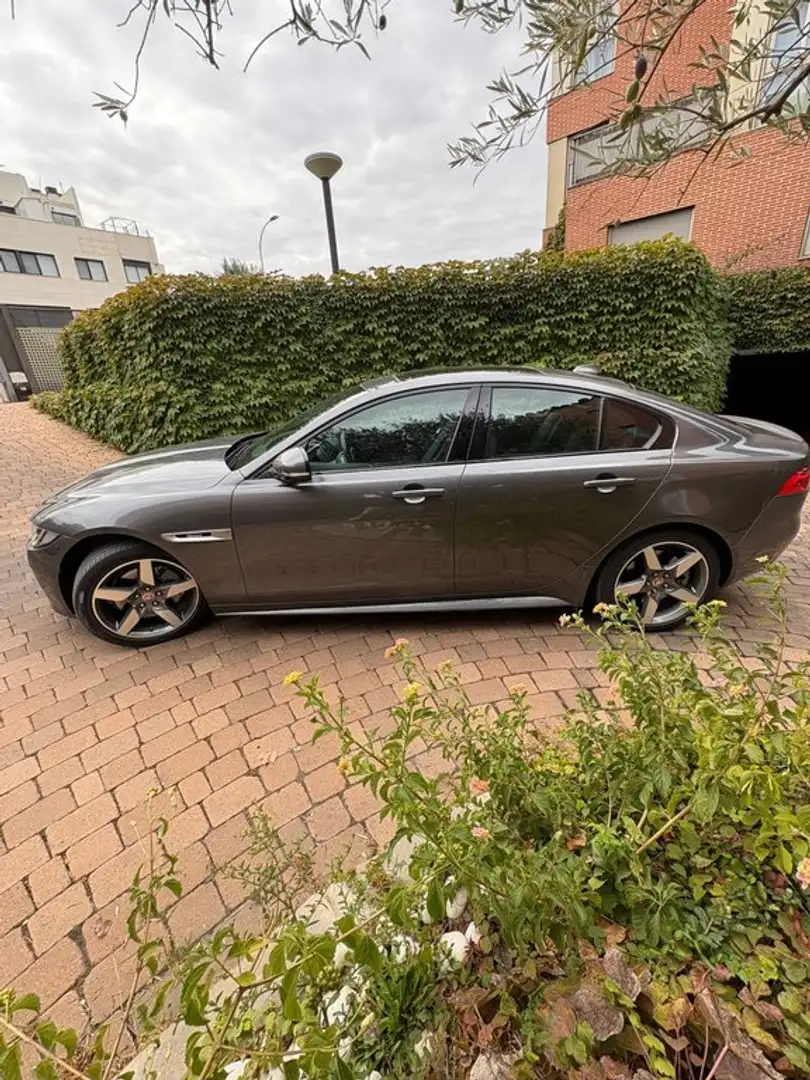 Jaguar XE 2.0I 147kW RWD R-Sport Auto Gris - 2