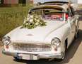 Wartburg 311 08 Weiß - thumbnail 13