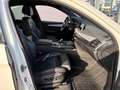 BMW X6 M50 d AHK HUD H&KRFK 360° AT Motor uvm. Weiß - thumbnail 3