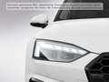 Audi A5 35 TDI S-Line Business Kamera LED Weiß - thumbnail 7