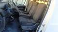 Fiat Ducato L2H2 2.3 MJT 120CV Bianco - thumbnail 7