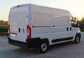 Fiat Ducato L2H2 2.3 MJT 120CV Bianco - thumbnail 4