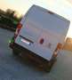 Fiat Ducato L2H2 2.3 MJT 120CV Bianco - thumbnail 5
