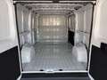 Fiat Ducato L2H1 MY26 30 120PS/RFK/KLIMA/RADIO/ 88 kW (120 ... Weiß - thumbnail 10