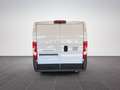 Fiat Ducato L2H1 MY26 30 120PS/RFK/KLIMA/RADIO/ 88 kW (120 ... Weiß - thumbnail 4