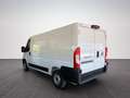 Fiat Ducato L2H1 MY26 30 120PS/RFK/KLIMA/RADIO/ 88 kW (120 ... Weiß - thumbnail 5