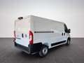 Fiat Ducato L2H1 MY26 30 120PS/RFK/KLIMA/RADIO/ 88 kW (120 ... Weiß - thumbnail 3
