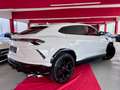 Lamborghini Urus Panorama Garantie B&O 360° ACC Hud Massage Alb - thumbnail 9