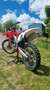 Honda CRF 250 R Czerwony - thumbnail 3