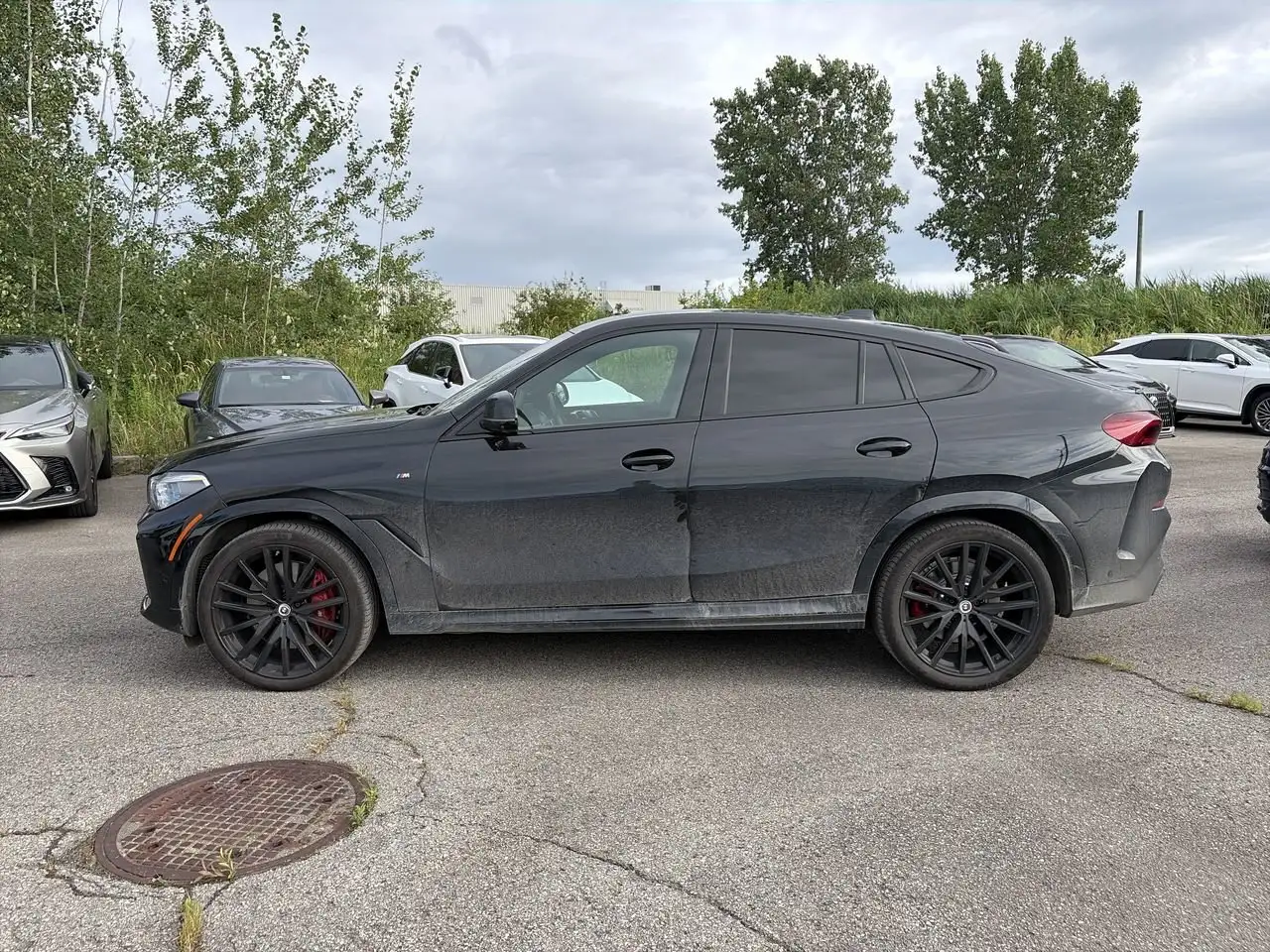 BMW X6 fotografie BMW X6