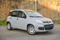 Fiat Panda 1.0 FireFly S&S Hybrid Grigio - thumbnail 2