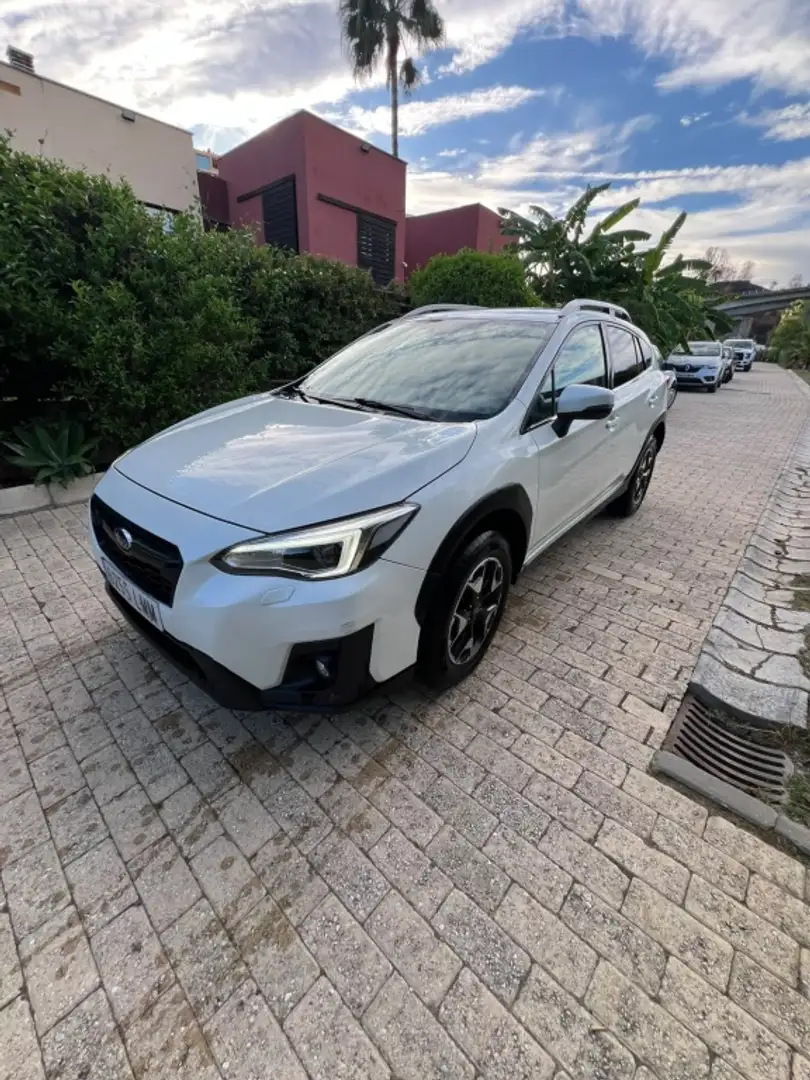 Subaru XV 1.6i Sport Plus CVT Blanco - 2