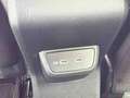 Volkswagen Polo 1.0 TSI Blanc - thumbnail 13
