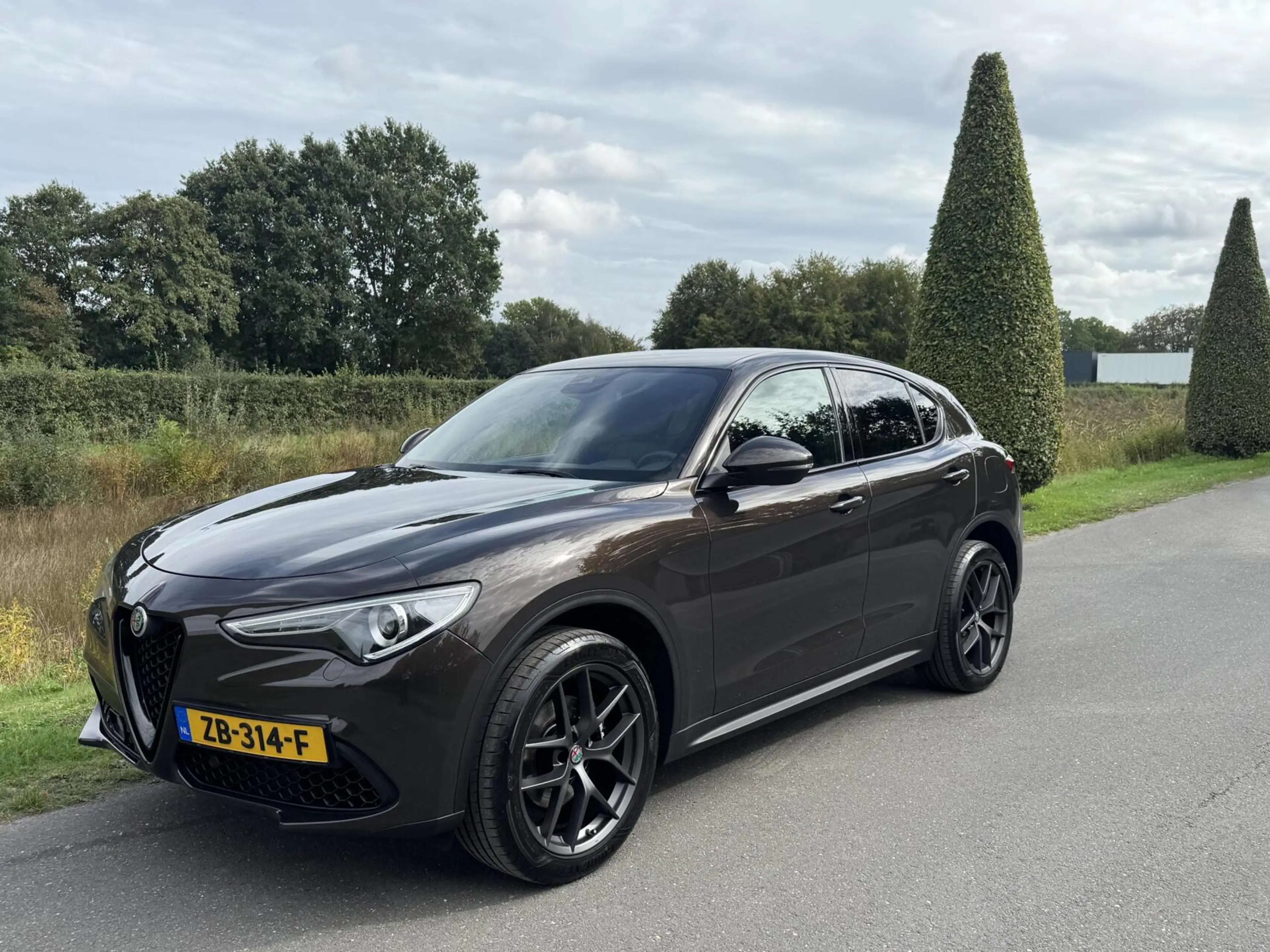 Alfa Romeo Stelvio 2.0t Q4 280pk, Veloce, Unieke kleur!! 20" — photo 2