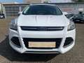 Ford Kuga Titanium 4x4 Autom-Nav-AHK-Tüv/Oel/ZR neu-66Tkm Blanc - thumbnail 2