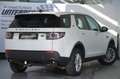 Land Rover Discovery Sport Discovery Sport 2,0 TD4 150 Pure A Weiß - thumbnail 8