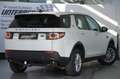 Land Rover Discovery Sport Discovery Sport 2,0 TD4 150 Pure A Weiß - thumbnail 7