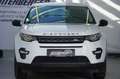 Land Rover Discovery Sport Discovery Sport 2,0 TD4 150 Pure A Weiß - thumbnail 4