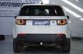 Land Rover Discovery Sport Discovery Sport 2,0 TD4 150 Pure A Weiß - thumbnail 10