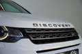 Land Rover Discovery Sport Discovery Sport 2,0 TD4 150 Pure A Weiß - thumbnail 6