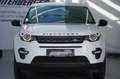 Land Rover Discovery Sport Discovery Sport 2,0 TD4 150 Pure A Weiß - thumbnail 3